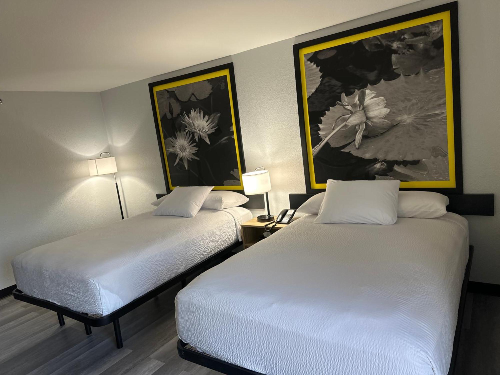 Super 8 By Wyndham Alexandria La Hotel Eksteriør billede